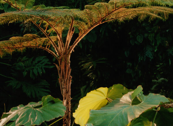 rfsu-sustainability-goal